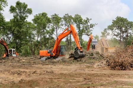 land clearing tips for your pensacola building project