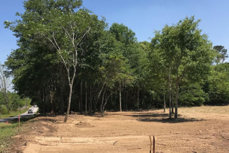 land-clearing